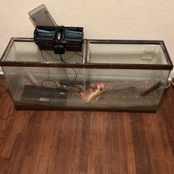 Fish Take For Sell Must Pick Up 