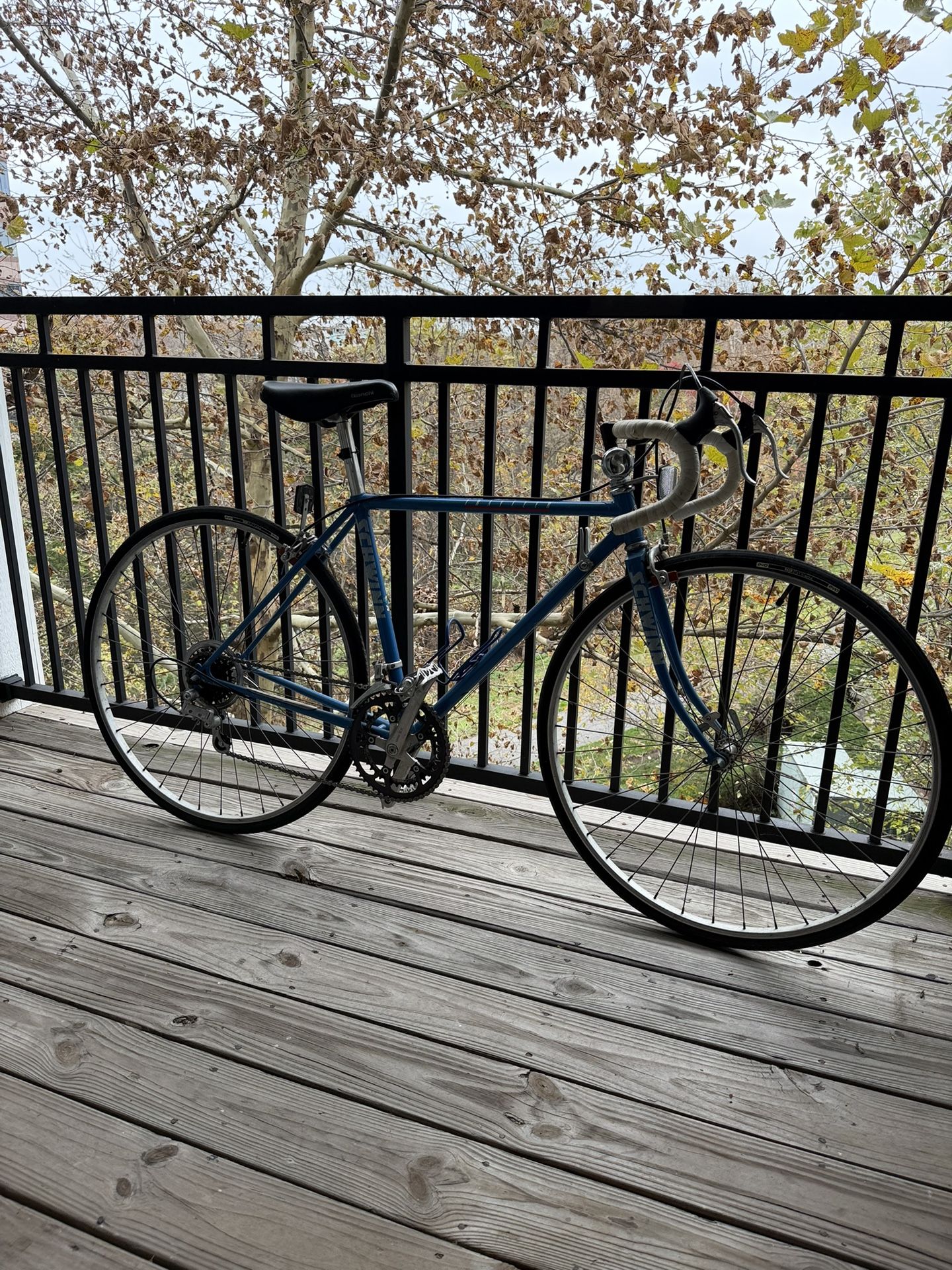 Vintage Schwinn Traveler Road Bike
