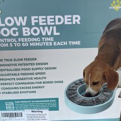 Doggy Bowl 