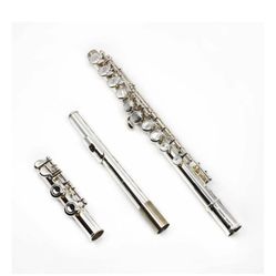 Gemeinhardt Student Flute Model 2SP