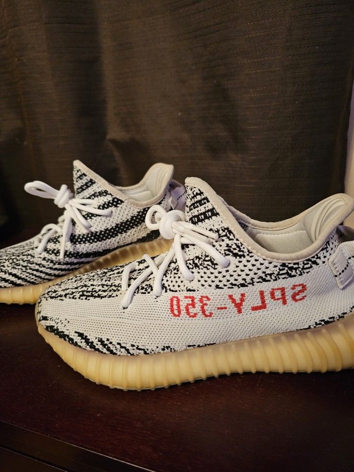 Yeezy Zebra Size 7