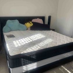 New 10 inch twin  mattress and  free bed frame !