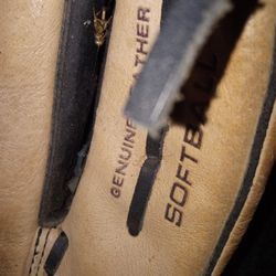 SOFTBALL 14 INCH WILSON FASTPITCH SLOWPITCH GLOVE !