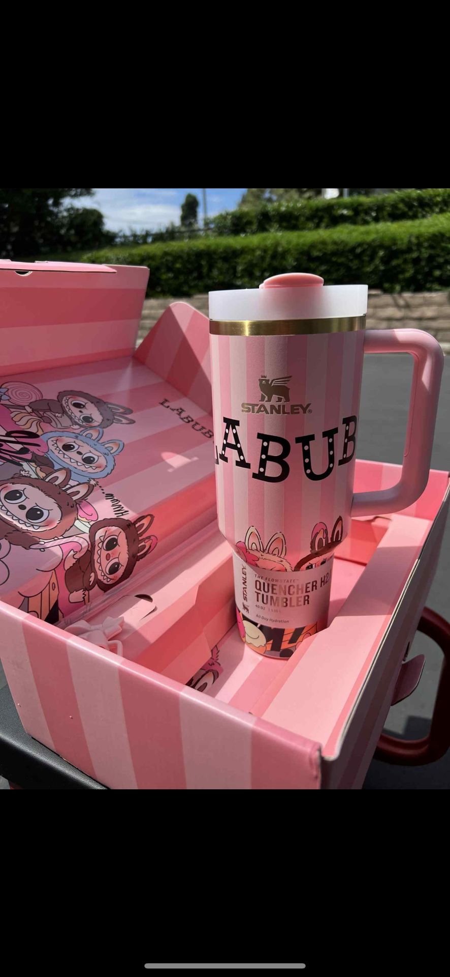 Cups