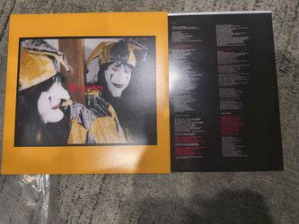 Mirror might steal your charm The garden (vinyl)