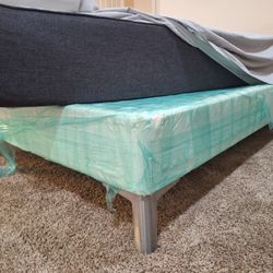 Bed Frame & Matress 