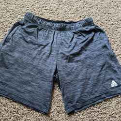 Men’s Large Adidas Aeroready Shorts 
