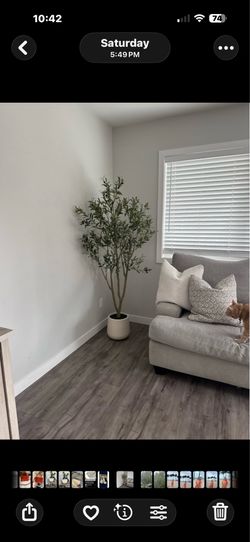 Pretty artificial plant Olive 5 ft tall with tall planter!brand new