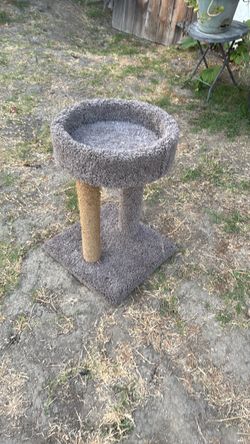 Cat scratch pad
