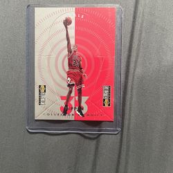 Scottie Pippen Basketball Card