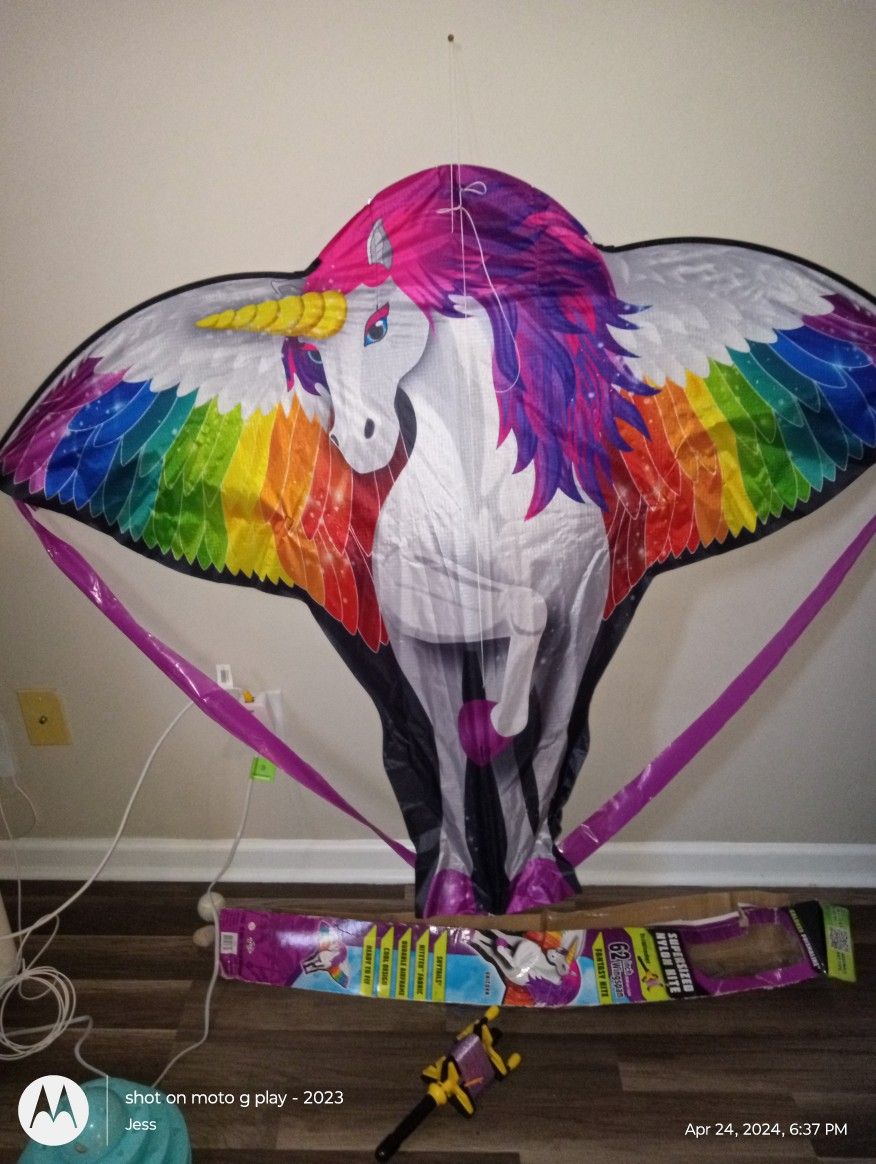 62 Inch Wingspan Fantasy Kite