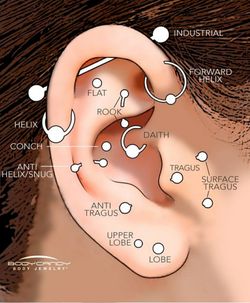 Professional certified piercer
