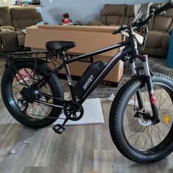 Electric Bike