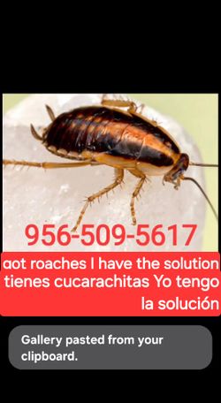 in San Benito Texas Houston Texas San Antonio Texas 