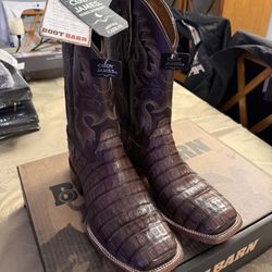 brand new mens cody james CAIMAN dark brown boots size 11.0 D