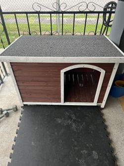 Dog House