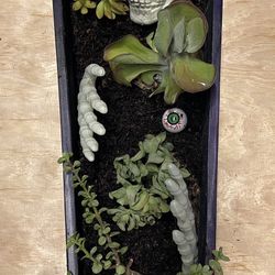 Gothic Coffin Planters