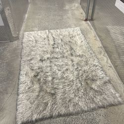 Big Area Rug
