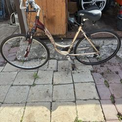 Nice TREK No Need $100