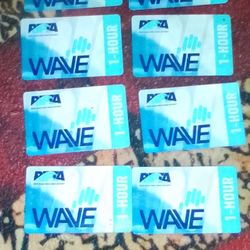 10 ripta buss pass