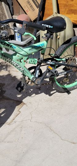 Kids 20" Beach Cruiser Ready To Ride needs cleaning