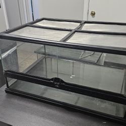 Snake Tank 