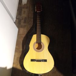 Acoustic Guitar With A Bag 