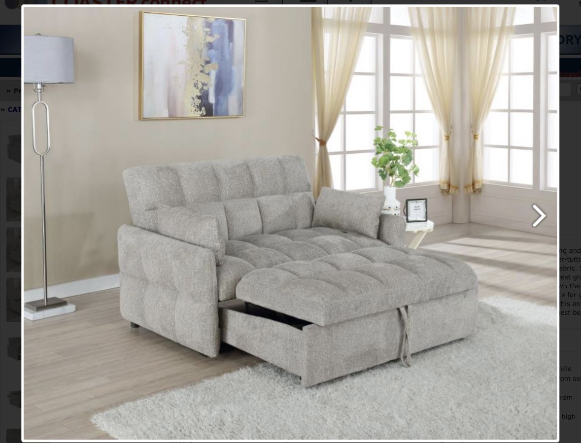 Sleeper Sofa