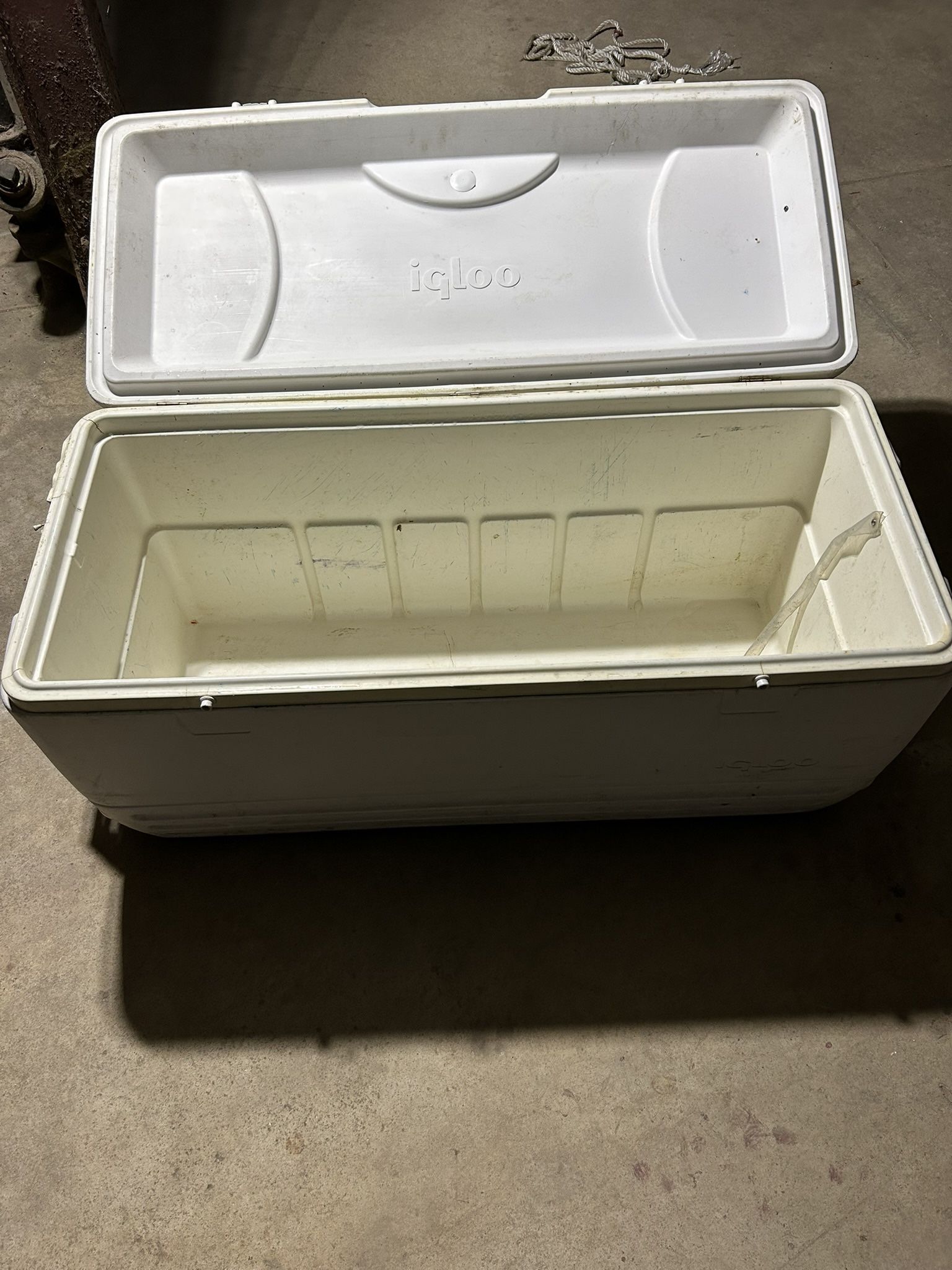 Igloo Cooler Big