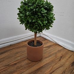 Decorative Tree