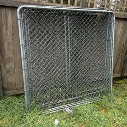 Dog Fence