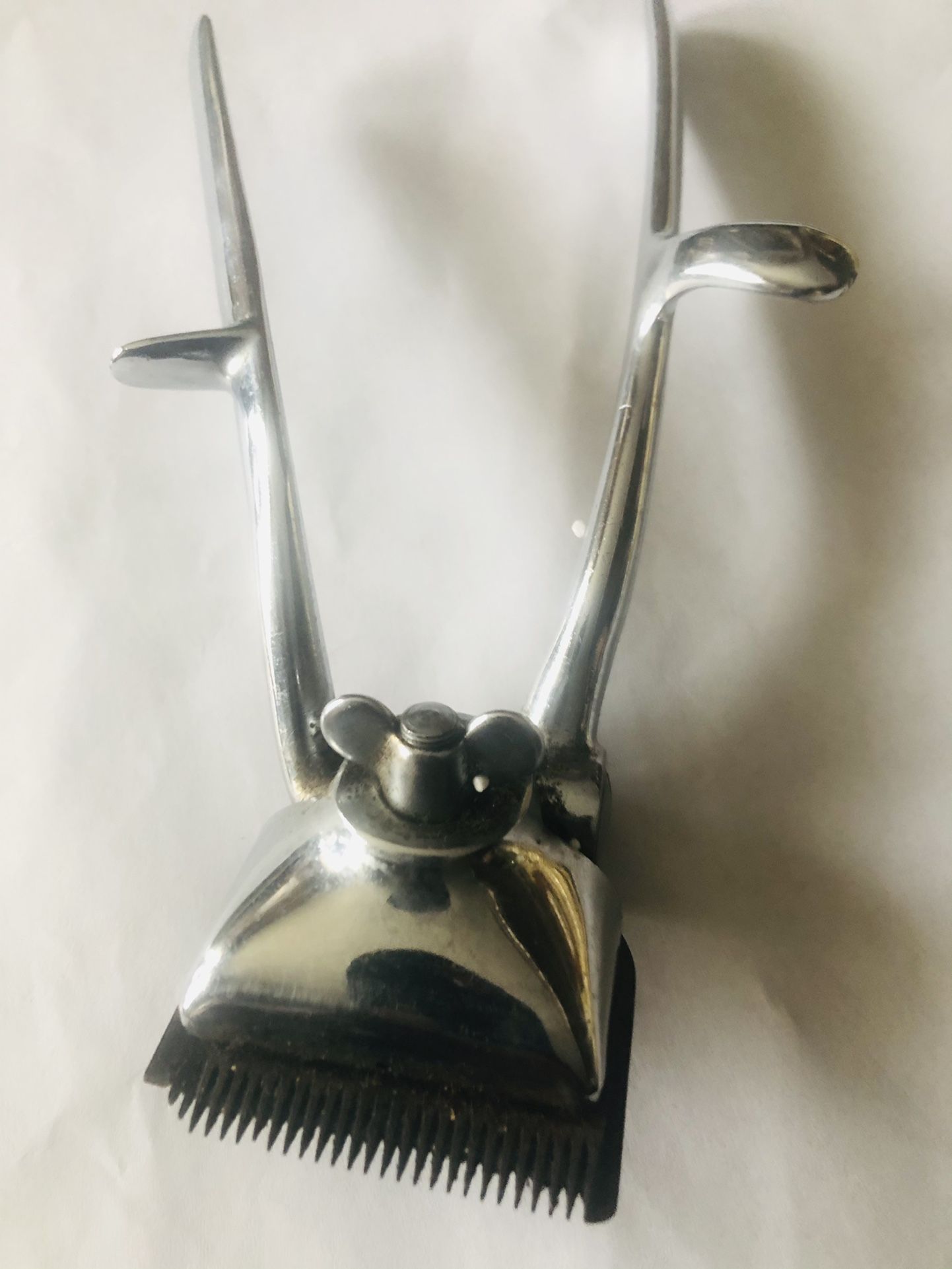 Antique Hand Clippers Great Shape