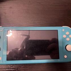 Nintendo Switch Lite Comes With Animal Crossing!