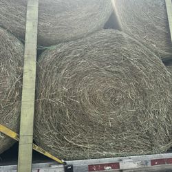 Horse Quality Hay Bales 
