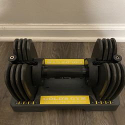 Golds Gym Adjustable 25 Lb Dumbbell 