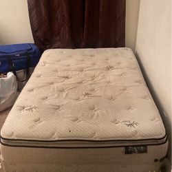 Full Matress Need Cleaning 