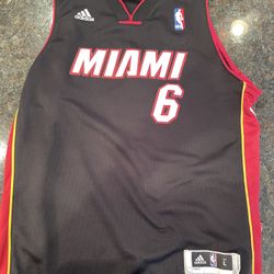 LeBron James Miami Heat Jersey