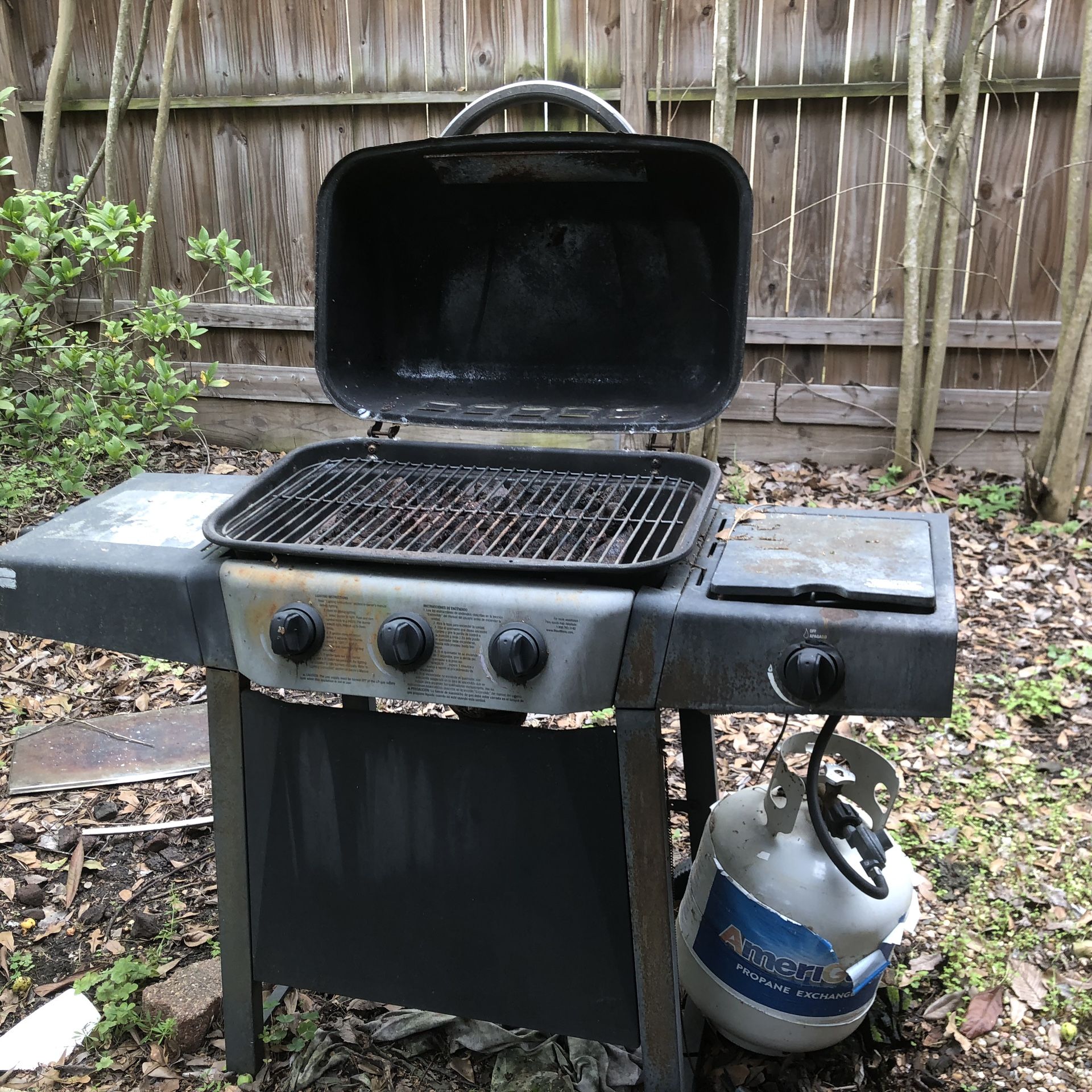 BBQ Grill outdoor