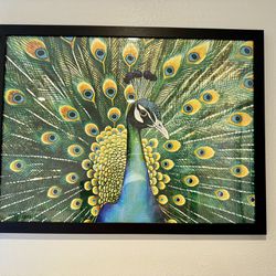Beautiful Colorful Peacock 1000 Piece Jigsaw Puzzle Decorative Artwork, Black Frame
