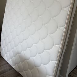 Free Mattress