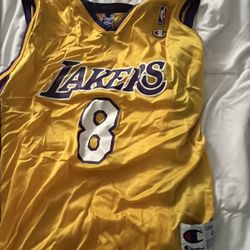 Nike Dri Fit 44 Size Lebron James Lakers Jersey #23 for Sale in North  Royalton, OH - OfferUp