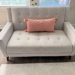 Light Gray Loveseat Couch 