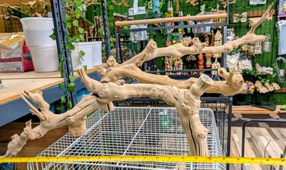 Custom grapewood bird & parrot perches