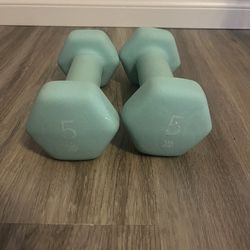 5 Lb Dumbbells