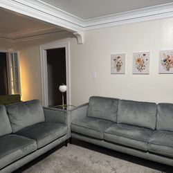 Sofa and Loveseat