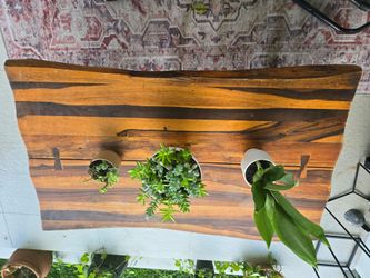 Live Edge Wood Slab Coffee Table