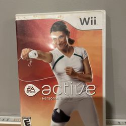 Wii Fit Game