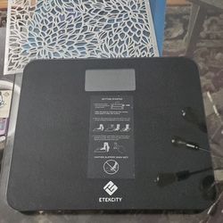Digital Scale 