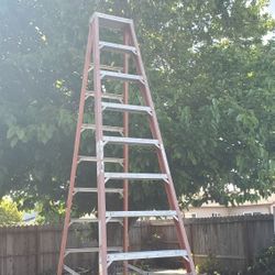 12FT LADDER