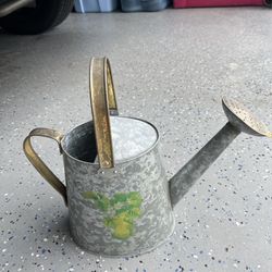 Garden Watering Can